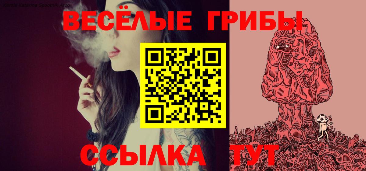 Галлюциногенные грибы MAGIC MUSHROOMS  Псилоцибиновые грибы мицелий  Вход с VPN  наркошоп  Строитель 
